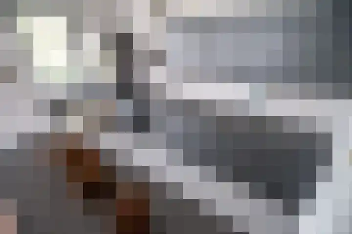 Vlietzicht 6 Voorschoten thumbnail 16