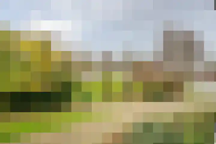 Vlietzicht 6 Voorschoten thumbnail 19