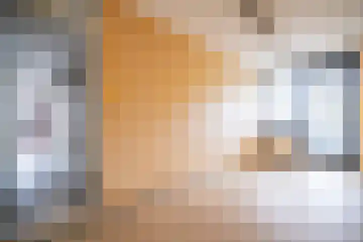 Vlietzicht 6 Voorschoten thumbnail 28