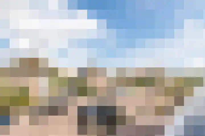 Vliewint 34 Petten thumbnail 13