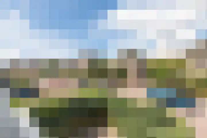 Vliewint 34 Petten thumbnail 14