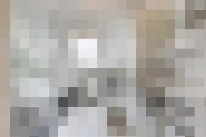 Vliewint 34 Petten thumbnail 15