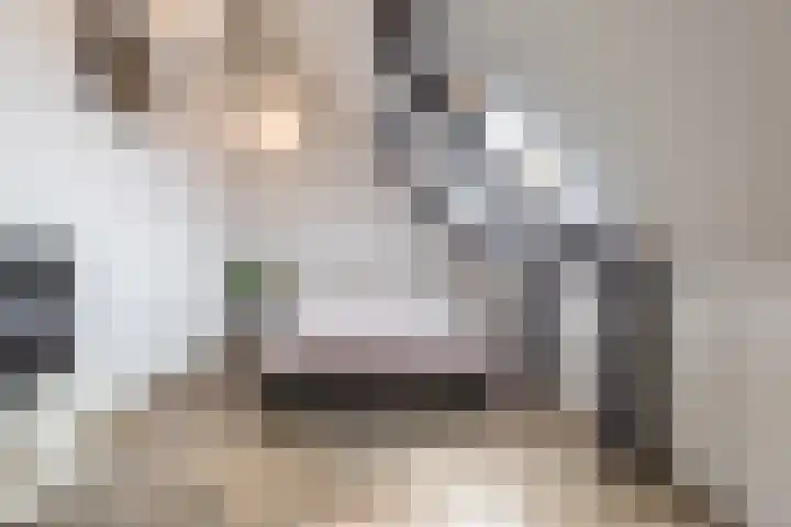 Vliewint 34 Petten thumbnail 17