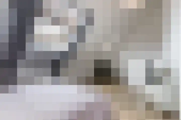 Vliewint 34 Petten thumbnail 18