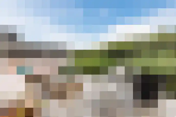 Vliewint 34 Petten thumbnail 21