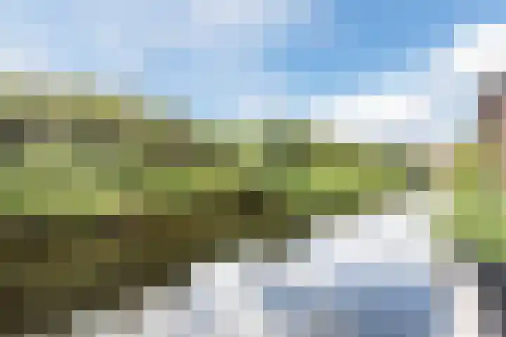 Vliewint 34 Petten thumbnail 23