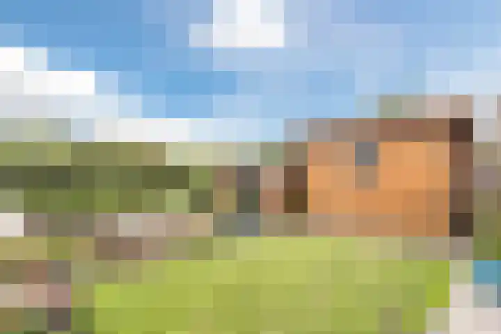 Vliewint 34 Petten thumbnail 24