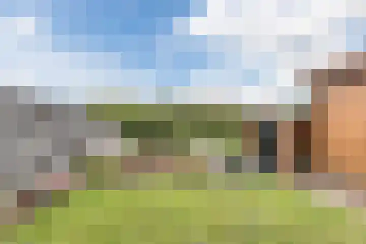Vliewint 34 Petten thumbnail 25