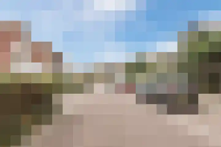 Vliewint 34 Petten thumbnail 26
