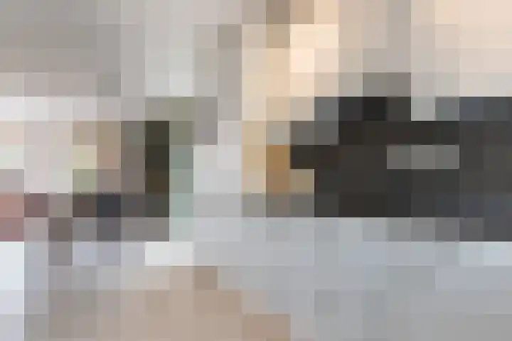 Vliewint 34 Petten thumbnail 5