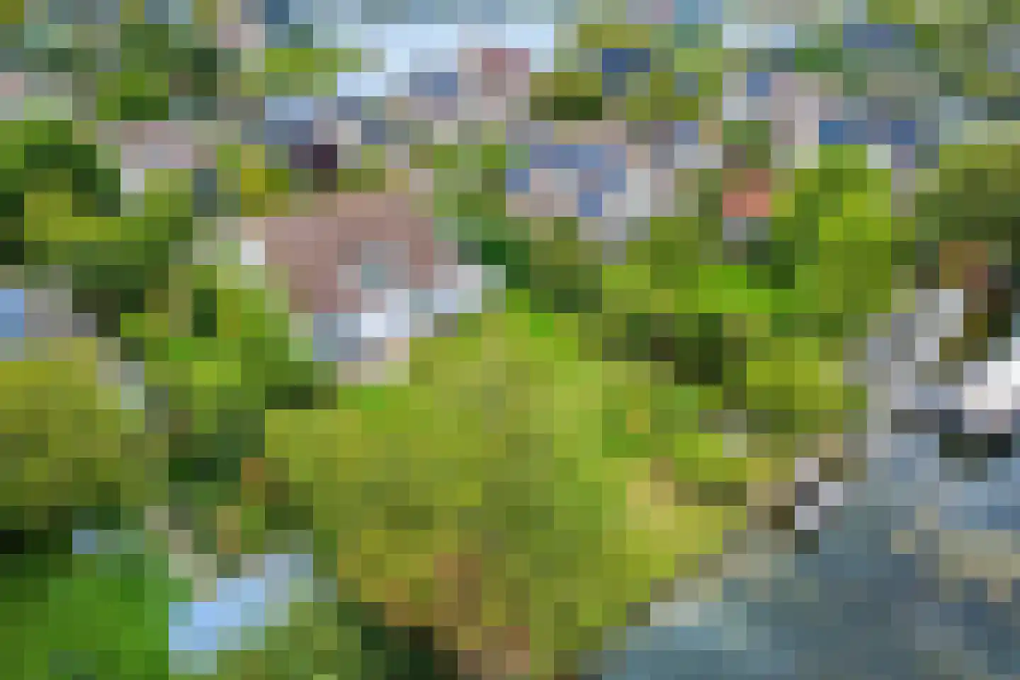 Vlijekreek 11 Goes thumbnail 31