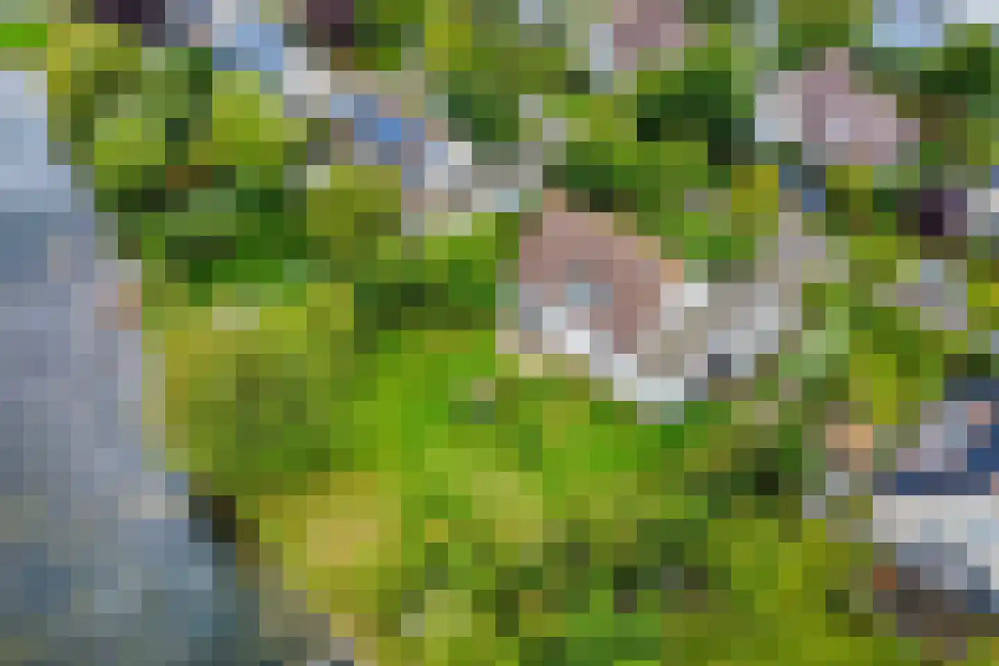 Vlijekreek 11 Goes thumbnail 32