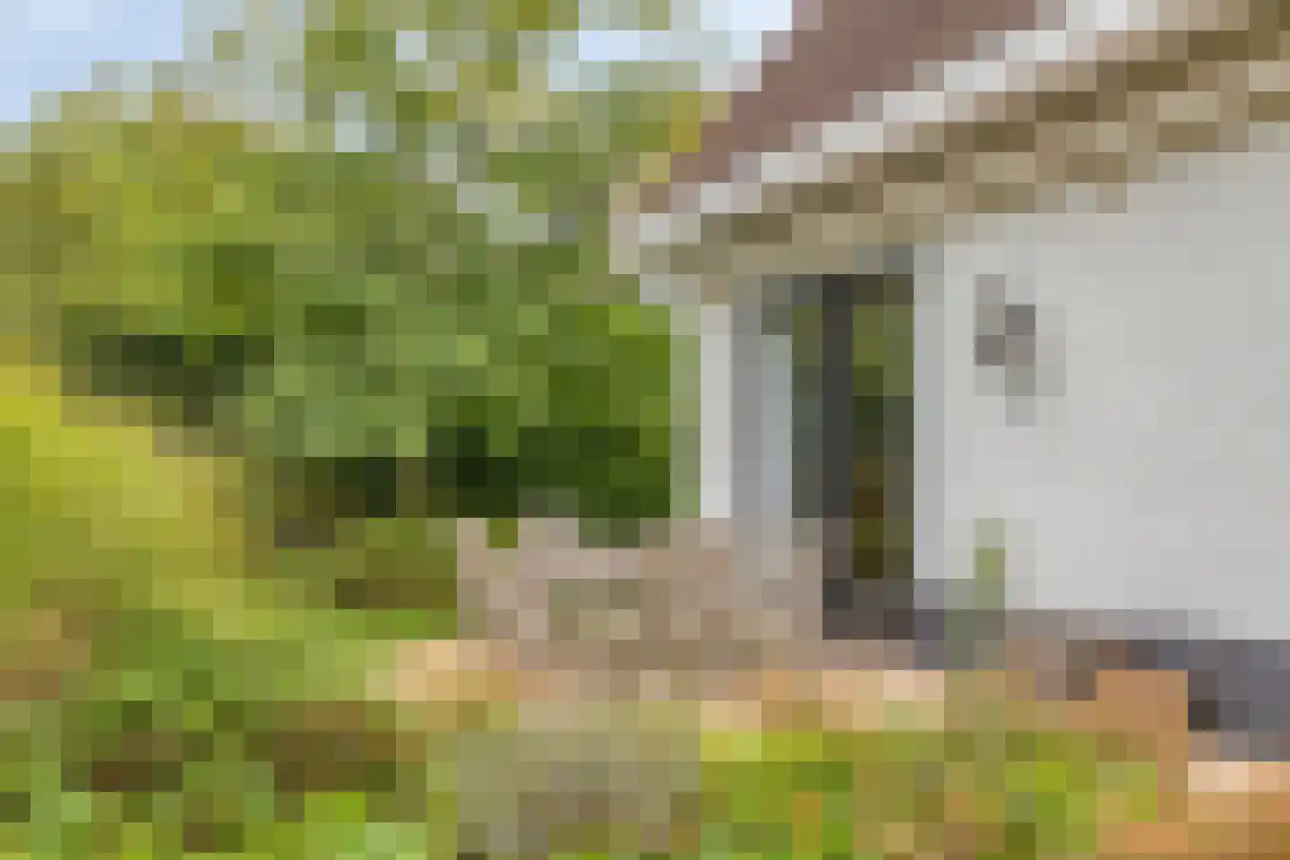 Vlijekreek 11 Goes thumbnail 33