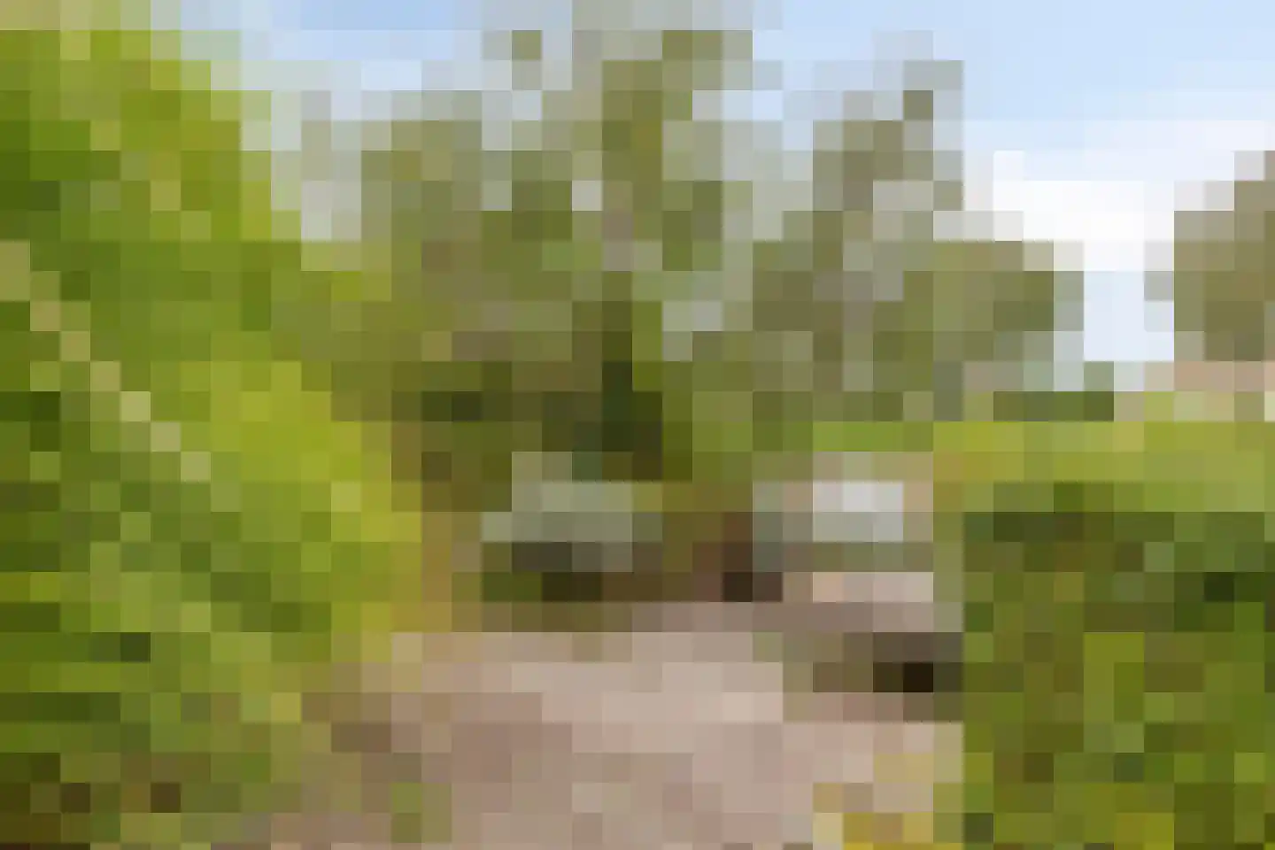 Vlijekreek 11 Goes thumbnail 36