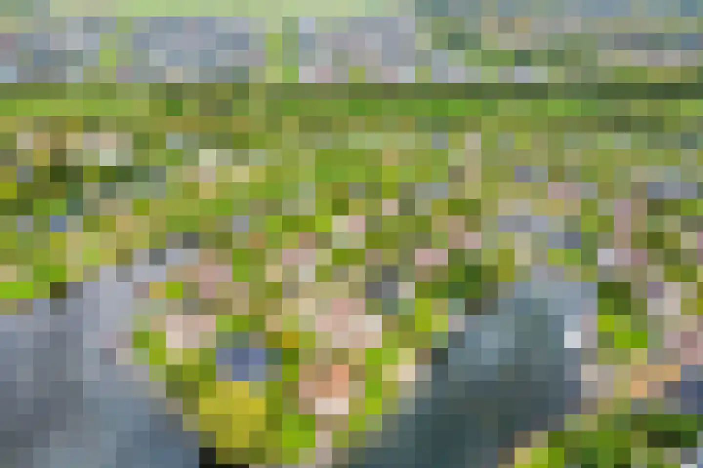 Vlijekreek 11 Goes thumbnail 38