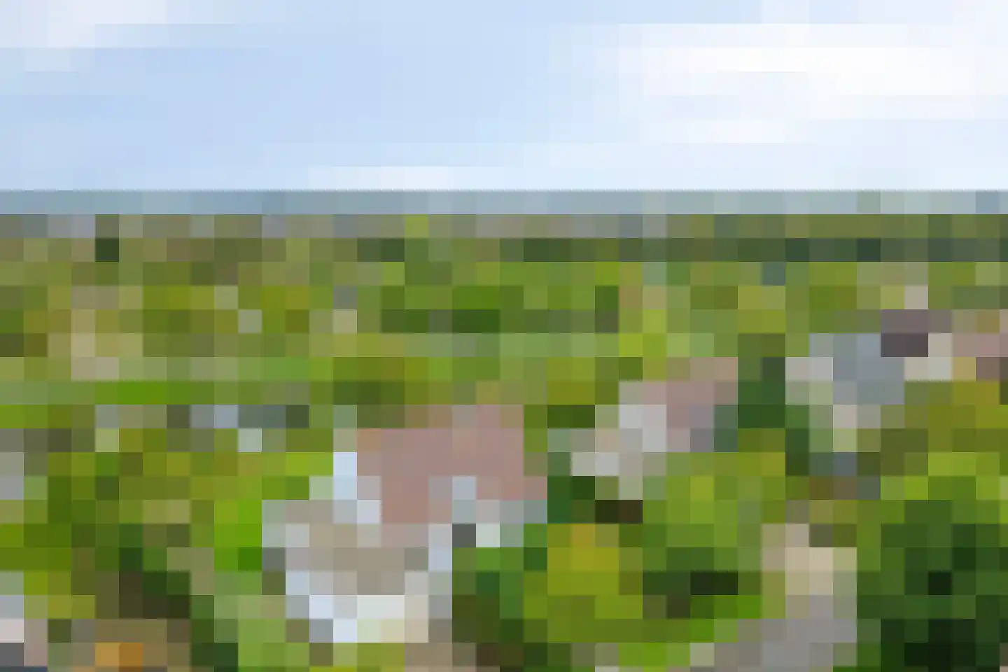 Vlijekreek 11 Goes thumbnail 6