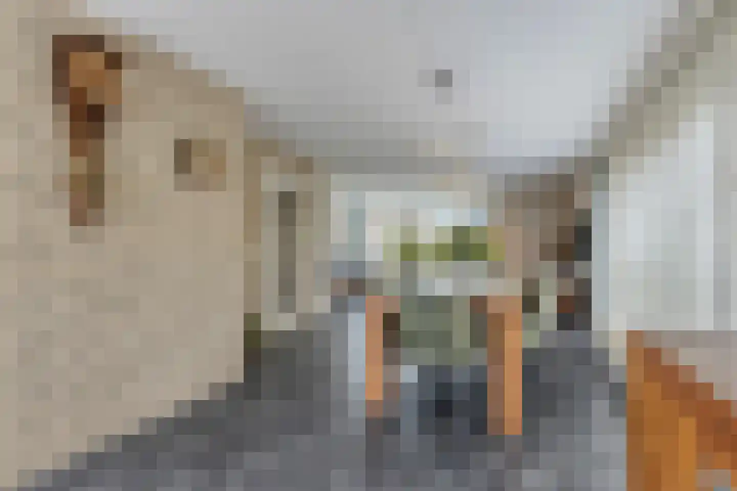 Vlijekreek 8 Goes thumbnail 10