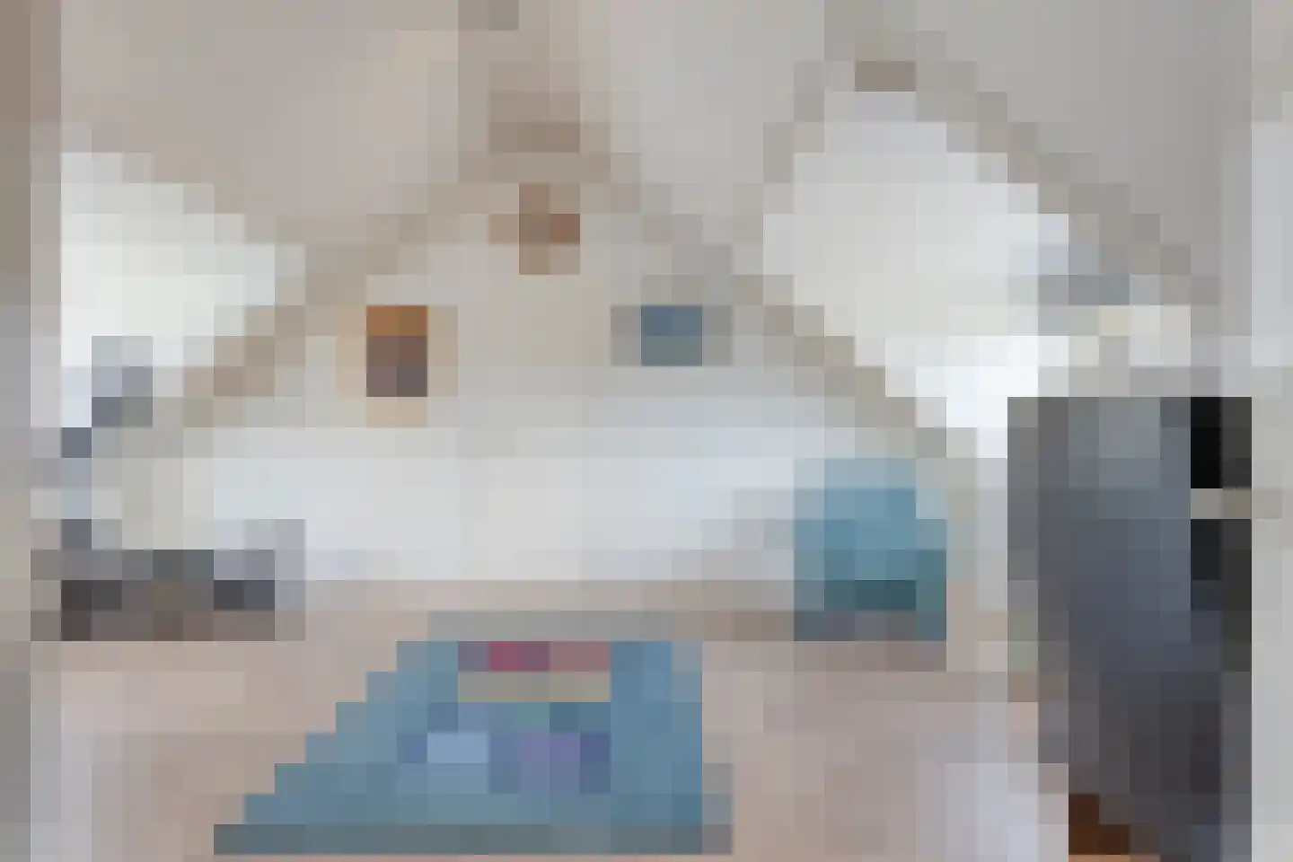 Vlijekreek 8 Goes thumbnail 32
