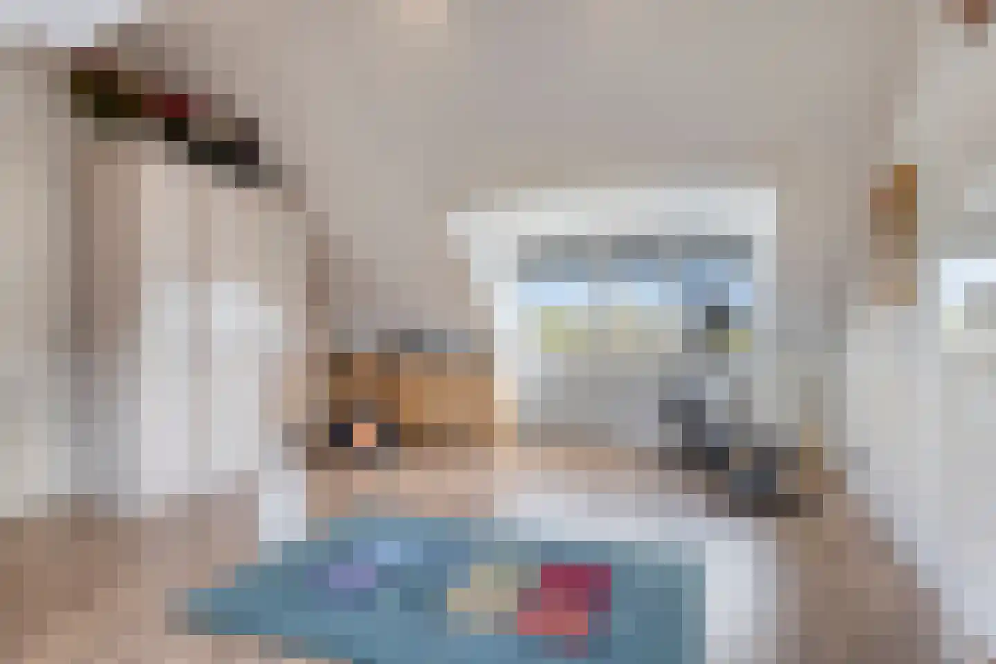 Vlijekreek 8 Goes thumbnail 33