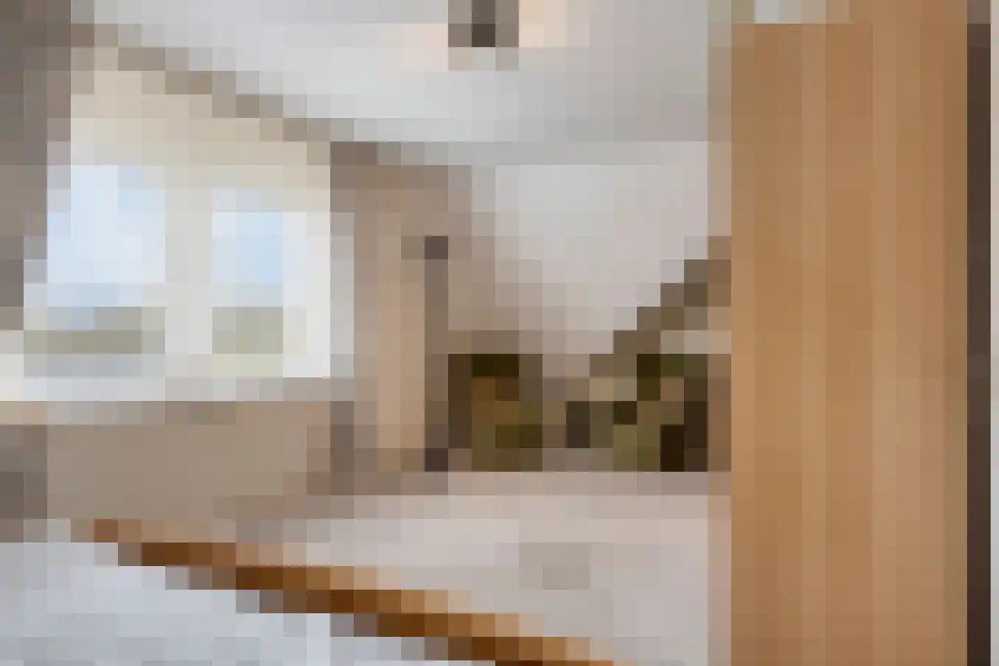 Vlijekreek 8 Goes thumbnail 40