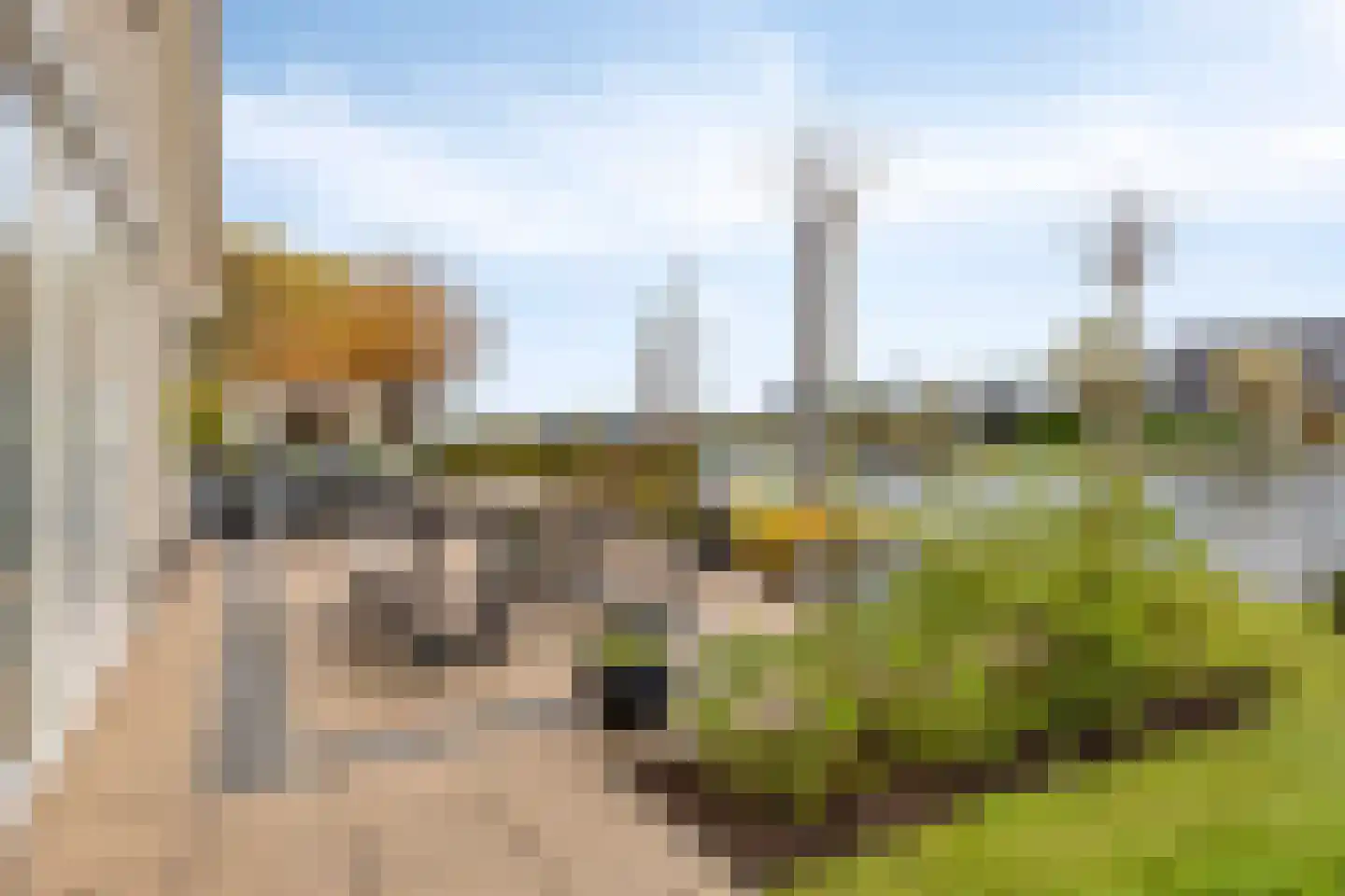 Vlijekreek 8 Goes thumbnail 51