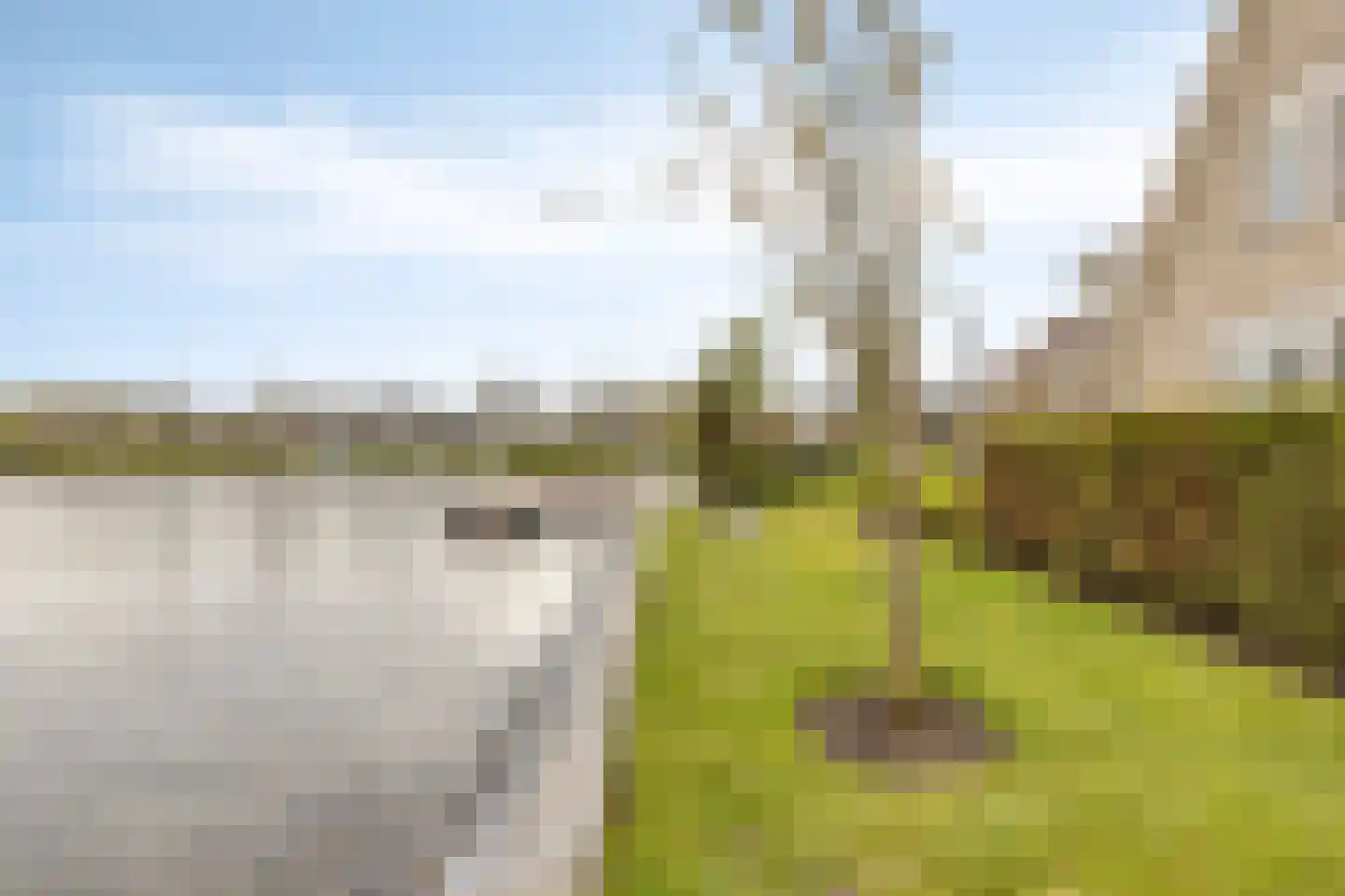 Vlijekreek 8 Goes thumbnail 57
