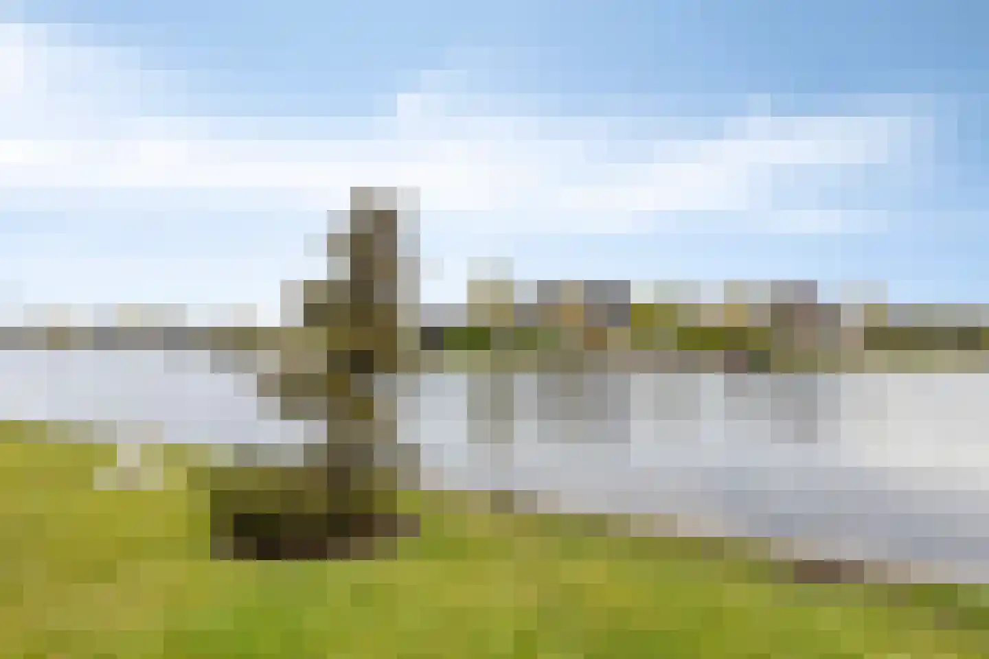 Vlijekreek 8 Goes thumbnail 59