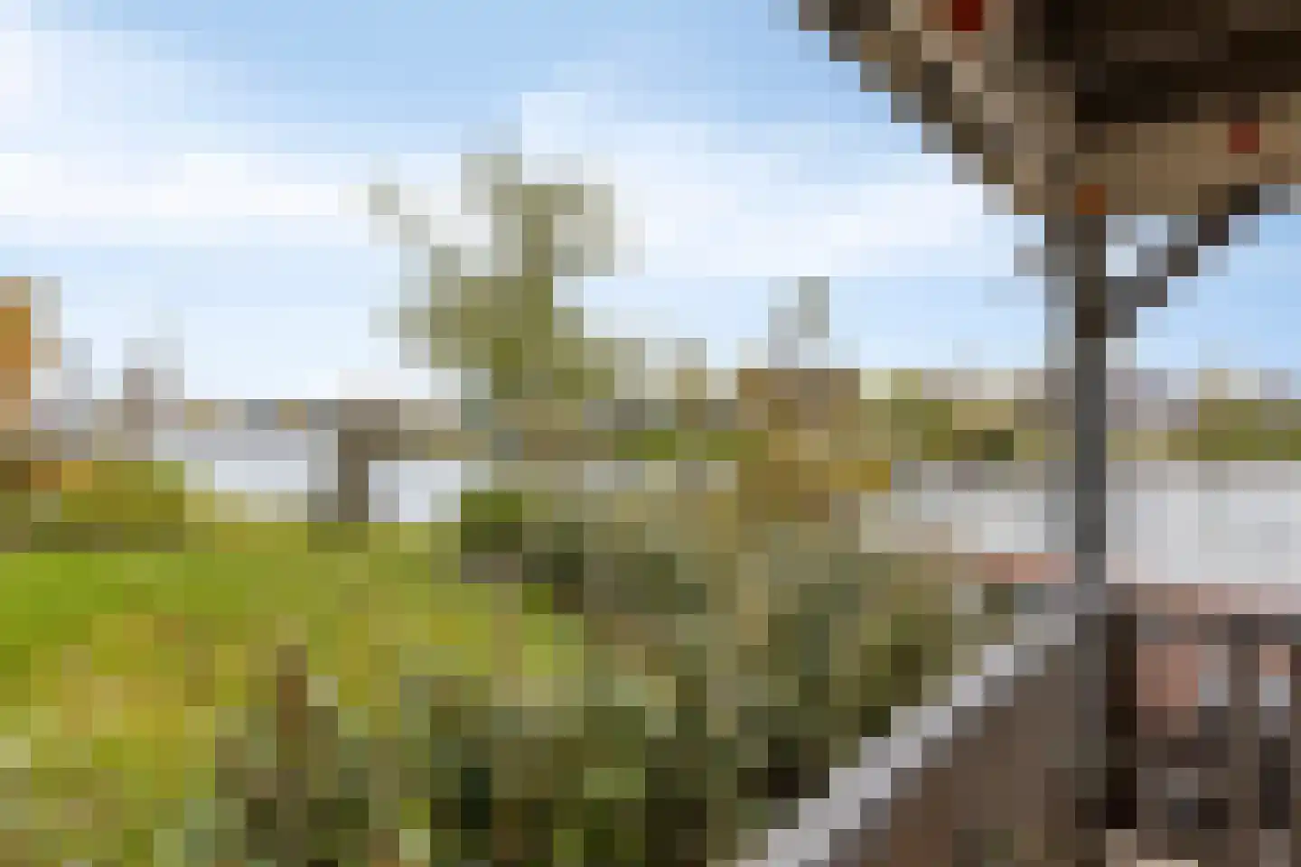 Vlijekreek 8 Goes thumbnail 65