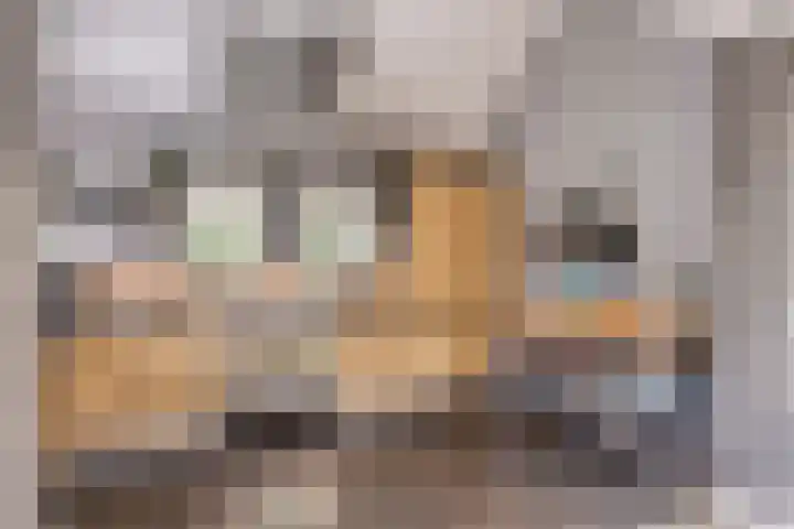 Vlijmdstraat 21 Geffen thumbnail 11