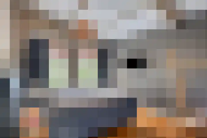 Vlijmdstraat 21 Geffen thumbnail 12