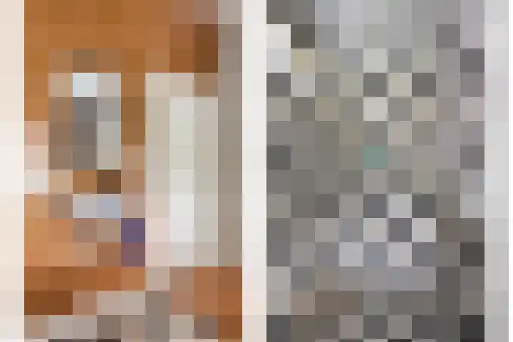 Vlijmdstraat 21 Geffen thumbnail 14