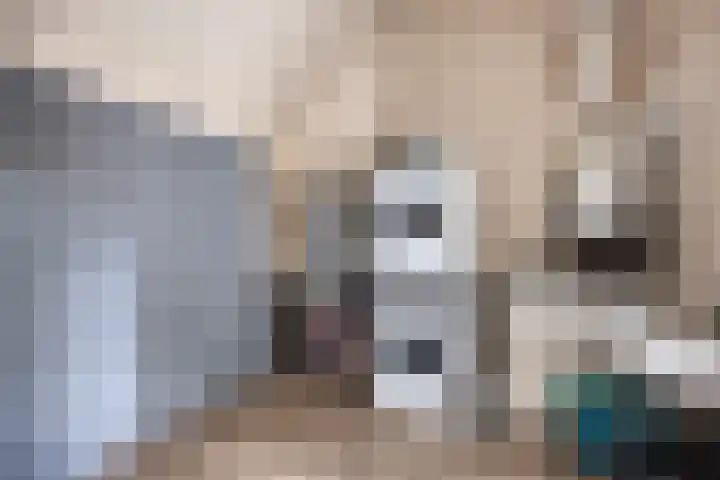Vlijmdstraat 21 Geffen thumbnail 17