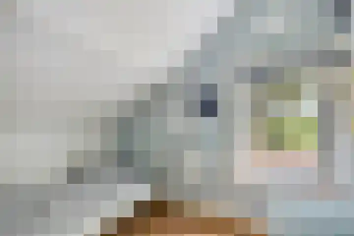 Vlijmdstraat 21 Geffen thumbnail 23