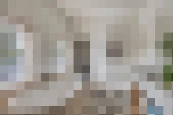 Vlijmdstraat 21 Geffen thumbnail 26