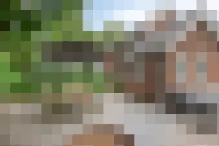 Vlijmdstraat 21 Geffen thumbnail 28