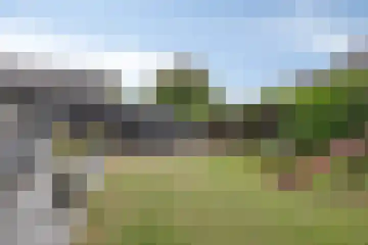 Vlijmdstraat 21 Geffen thumbnail 29