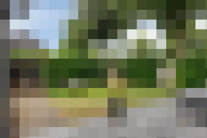 Vlijmdstraat 21 Geffen thumbnail 30
