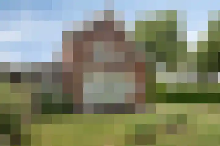 Vlijmdstraat 21 Geffen thumbnail 32