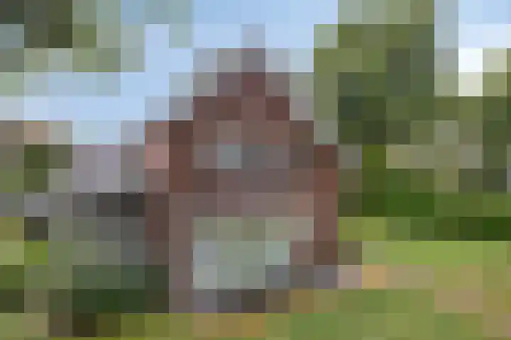 Vlijmdstraat 21 Geffen thumbnail 33