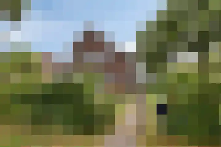 Vlijmdstraat 21 Geffen thumbnail 35