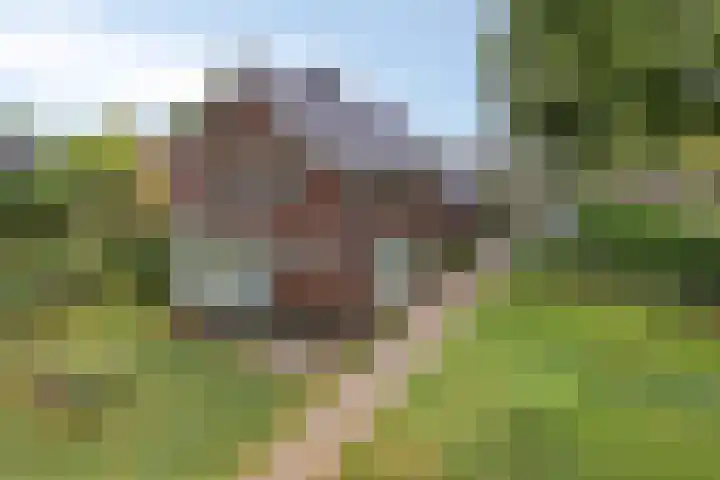 Vlijmdstraat 21 Geffen thumbnail 36
