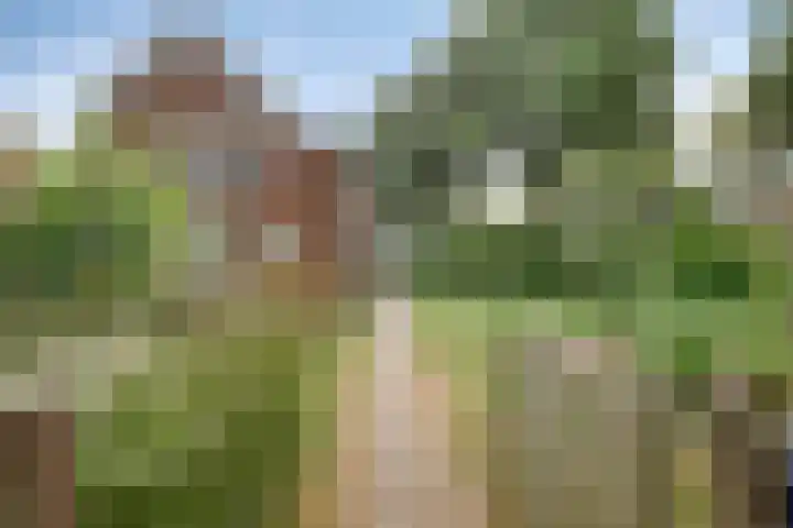 Vlijmdstraat 21 Geffen thumbnail 37