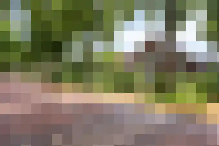 Vlijmdstraat 21 Geffen thumbnail 38