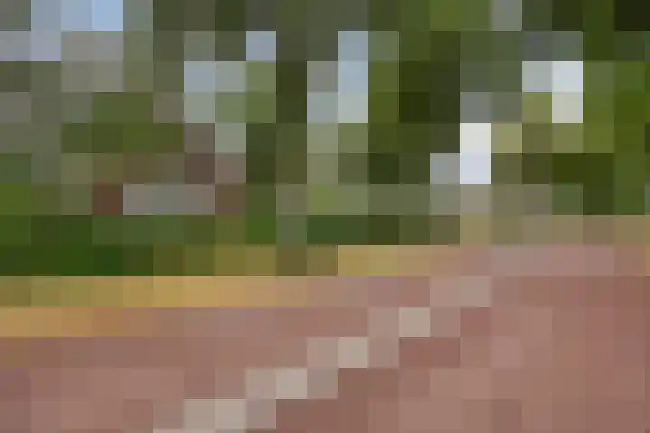 Vlijmdstraat 21 Geffen thumbnail 39