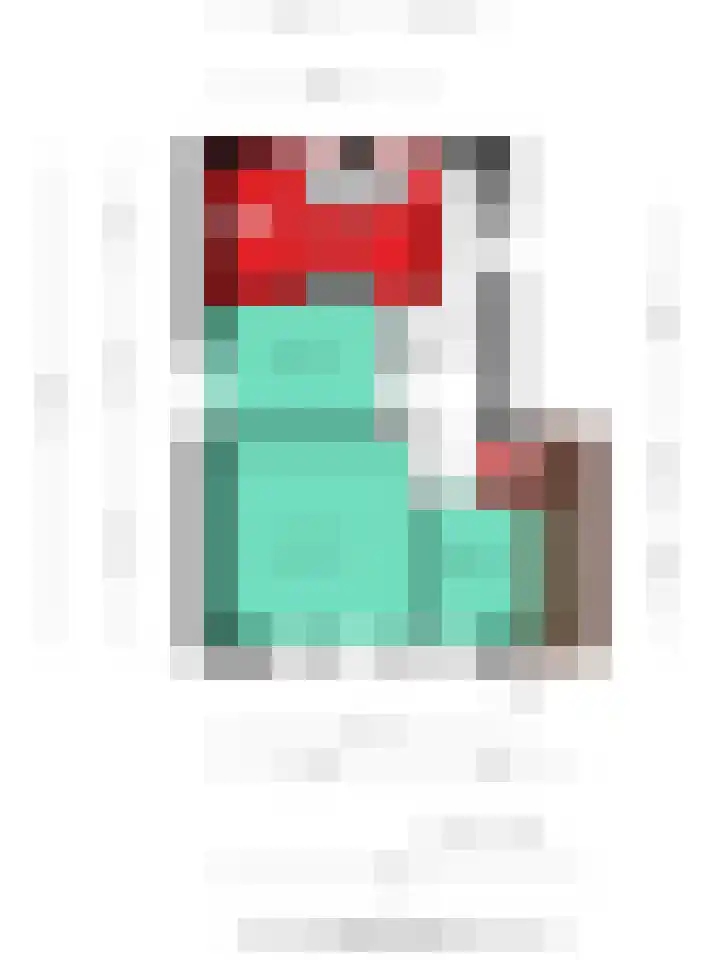 Vlijmdstraat 21 Geffen thumbnail 42