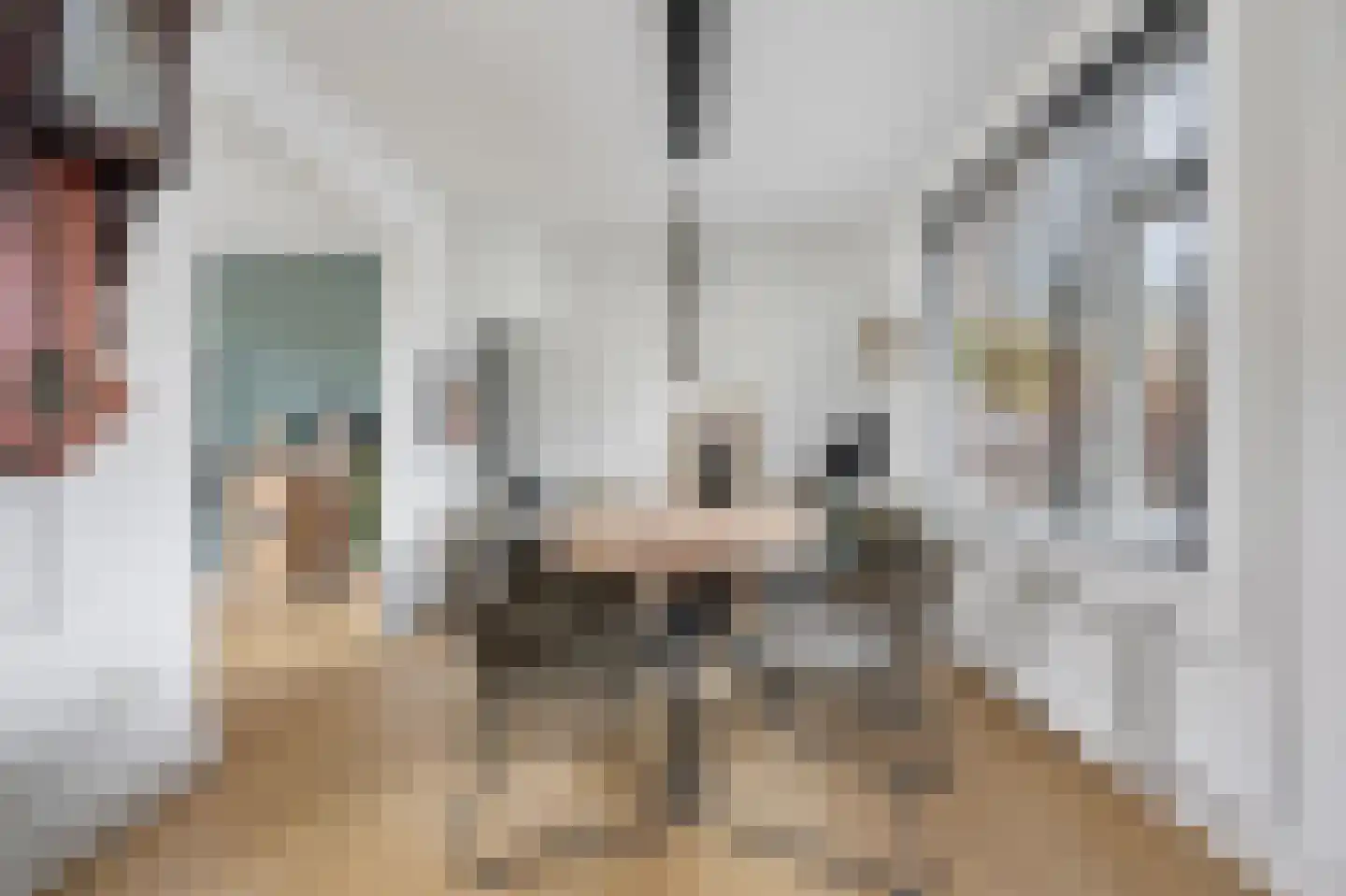 Vlijmense Dijk 20 Vlijmen thumbnail 11