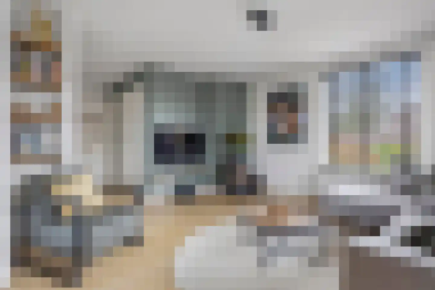 Vlijmense Dijk 20 Vlijmen thumbnail 16