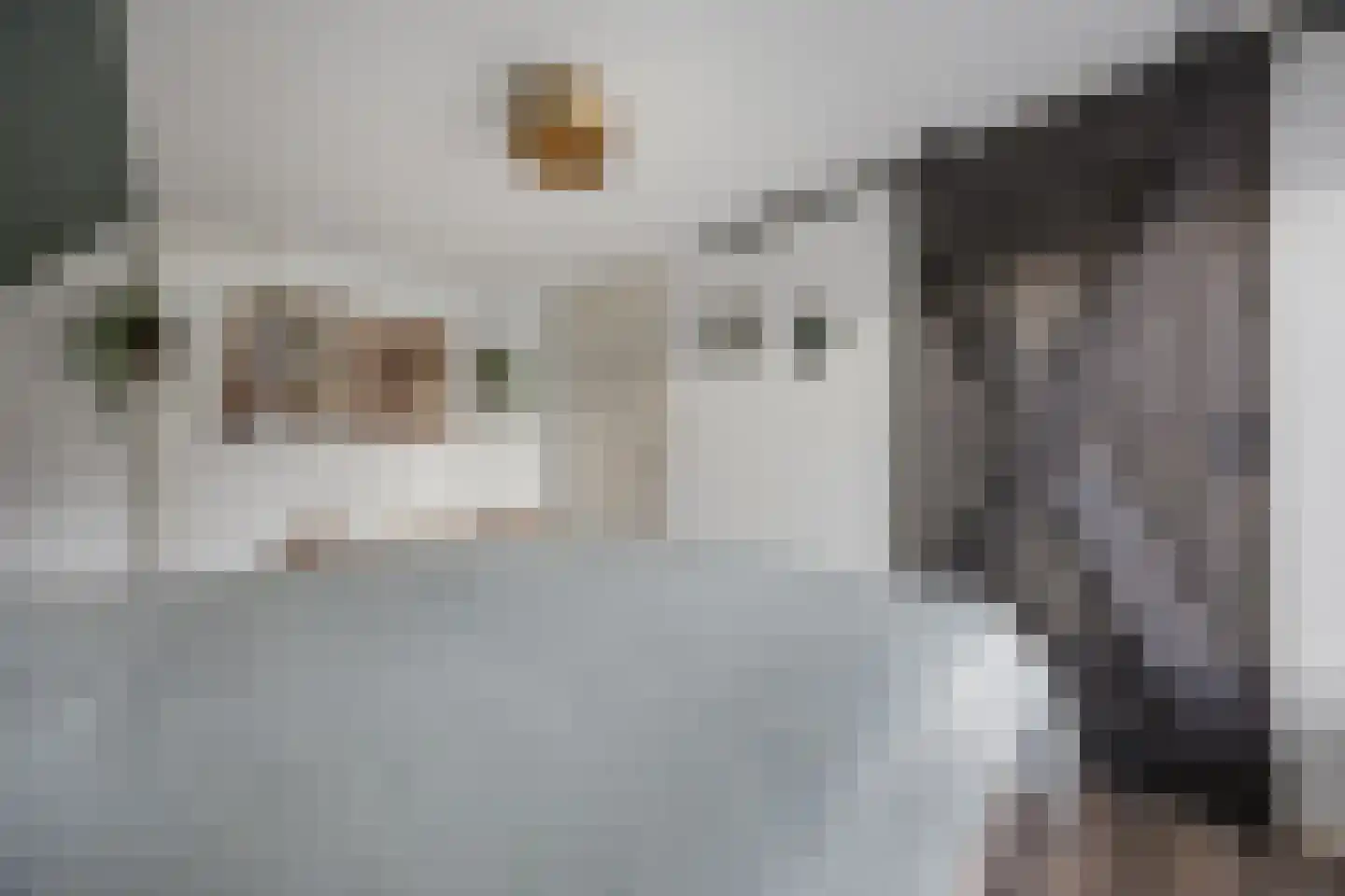 Vlijmense Dijk 20 Vlijmen thumbnail 26