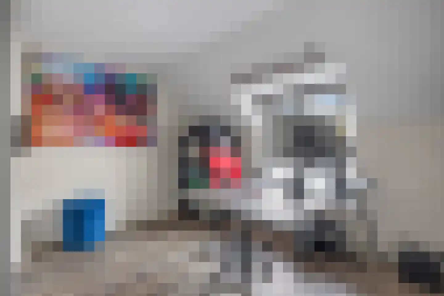 Vlijmense Dijk 20 Vlijmen thumbnail 34