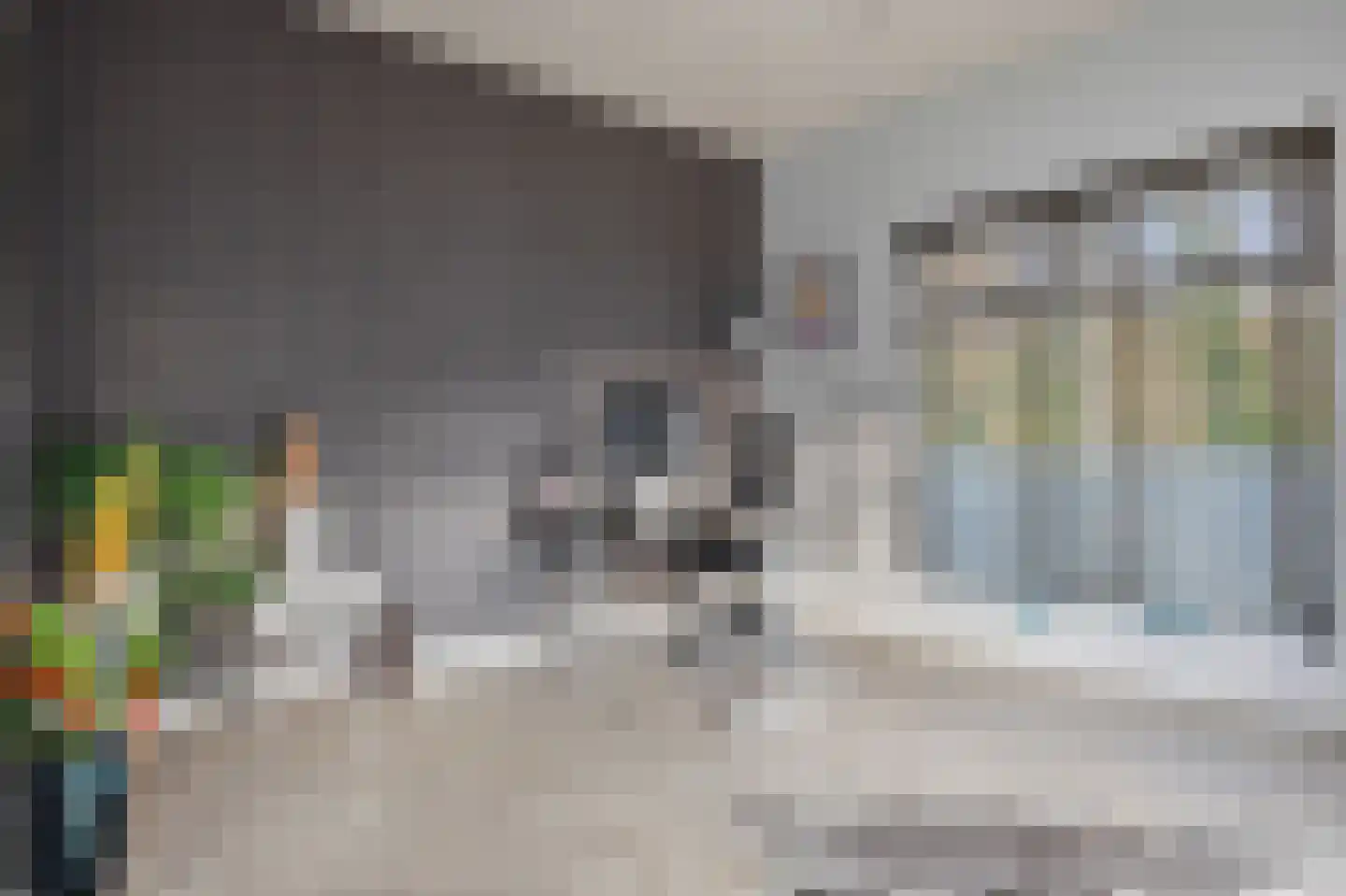 Vlijmense Dijk 20 Vlijmen thumbnail 42